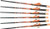 OFFSET VANES 400GR .003" 6PK*RAVIN XBOW ARROW CARBON W/2" 