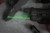 GREEN SPRINGFIELD HELLCATCRIMSON TRACE LASER LASERGUARD 