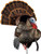 AVIAN X HDR STRUTTER DECOY 