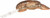 REB BIG CRAW  2 5/8" NEST ROBBER