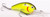 SK PRO 5/8 X-DEEP CITRUS SHAD