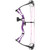 Diamond Atomic Bow Package Purple 12-24 in. 29 lbs. LH