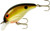 BANDIT MR 1/4 2" TIGER/BLACK