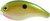 SK 10 XD CRANKBAIT CHART PERCH SK 10 XD CRANKBAIT CHART PERCH