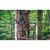 Trophy Treestands Mountaineer Ladderstand Single Person 20 ft.