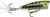 REB POP'R 1/4 2.5"-CHRM/BLK
