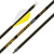 2" RAPTOR VANES 1/2DOZGOLD TIP ARROW HUNTER PRO 400 