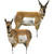Montana Decoy Antelope Decoy Combo