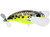 JACK POMPADOUR JR 2.6" 5/8 GRNFROG