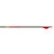 Gold Tip Kinetic Arrows 300 Raptor Vanes 6 pk.