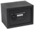 VAULT W/ SHELF 13.5"X10"X10"BULLDOG STD. DIGITAL PISTOL 