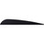 AAE Trad Vanes Black 4 in. 50 pk.