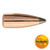 Sierra Pro-Hunter Rifle Bullets .303 cal/7mm .311" 125 gr SPT 100/ct