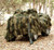 WOODLAND CAMOUFLAGE NETTINGRED ROCK GHILLIE BLIND 5'X12' 