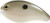 SK 10 XD CRANKBAIT CHART SEXY SHAD