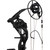 Bear Paradigm RTH Package Black 70 lbs. LH