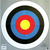 Champion Targets 40796 Archery 24 Bullseye Targets (2 Pack)