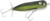 HED TINY TORPEDO 1/4 BLK SHINER