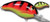BANDIT MR 1/4 2" SPG CRAWFISH/YELLO