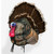 Montana Decoy Co. Wiley Tom 3D Decoy Full Strutting