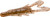 ZOOM U-VIB SPD CRAW 12BG WTRML SEED
