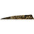 Gateway Shield Cut Feathers Tre Brown 4 in. RW 50 pk.