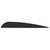 AAE Elite Plastifletch Vanes Black 3.875 in. 100 pk.