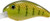 SK 10 XD CRANKBAIT GRN GIZZARDSHAD