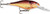 RAPALA SHAD RAP 06 CRAWDAD