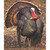 DuraMesh Archery Target Turkey 3 32 in. x 25 in.