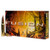 Federal .22-250 Rem Ammo 55gr SP Ammunition - 20 Rounds