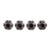 DPL SCREWS(4) FULL SIZE