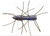 ZMAN FUZZY BUGZ 1.75" THE DEAL 4PK