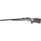 SAV A17 TRGT LAM THMBHLE 17HMR 22"