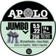 22 GRAIN 250 PACKHATSAN APOLO 22 JUMBO 