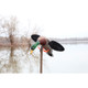MOJO Lite Mallard