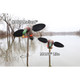 MOJO Lite Mallard