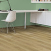 Ambiente 1462