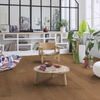 Ambiente 1292
