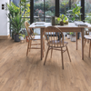 Ambiente 1487