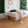 Ambiente 1577