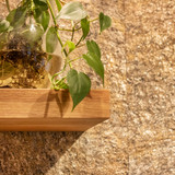 Piedrafina. Diseño: Óxido. Flexibilidad y Resistencia en Revestimientos de Pared de Piedra Natural