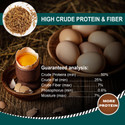 Euchirus 22LB Dried Mealworms