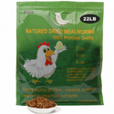 Euchirus 22LB Dried Mealworms