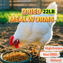 Euchirus 22LB Dried Mealworms