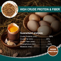 Euchirus 24LBS Non-GMO Dried Mealworms for Wild Bird Chicken Fish,High-Protein,Large Meal Worms.