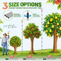 Extendable Fruit Picker with Basket, Adjustable 6–13 FT Pole, Foam Cushion for Apples, Pears and Citrus