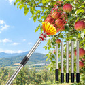 Extendable Fruit Picker with Basket, Adjustable 6–13 FT Pole, Foam Cushion for Apples, Pears and Citrus