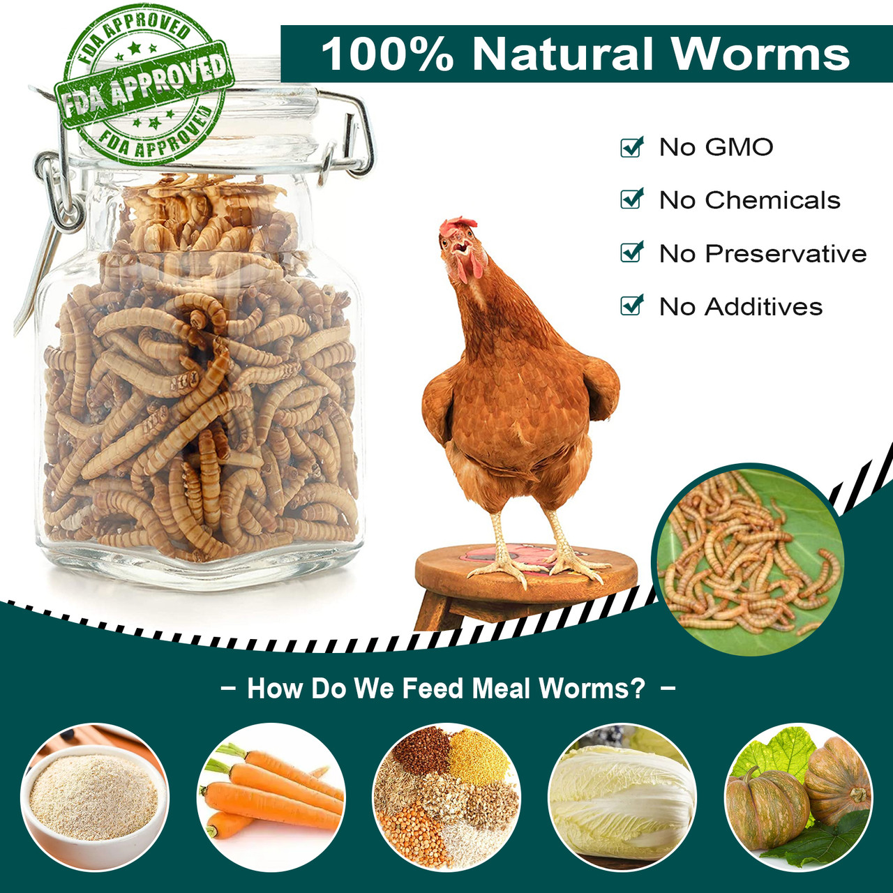Euchirus 22LBS Non-GMO Dried Mealworms for Wild Bird Chicken Fish,High-Protein,Large  Meal Worms.