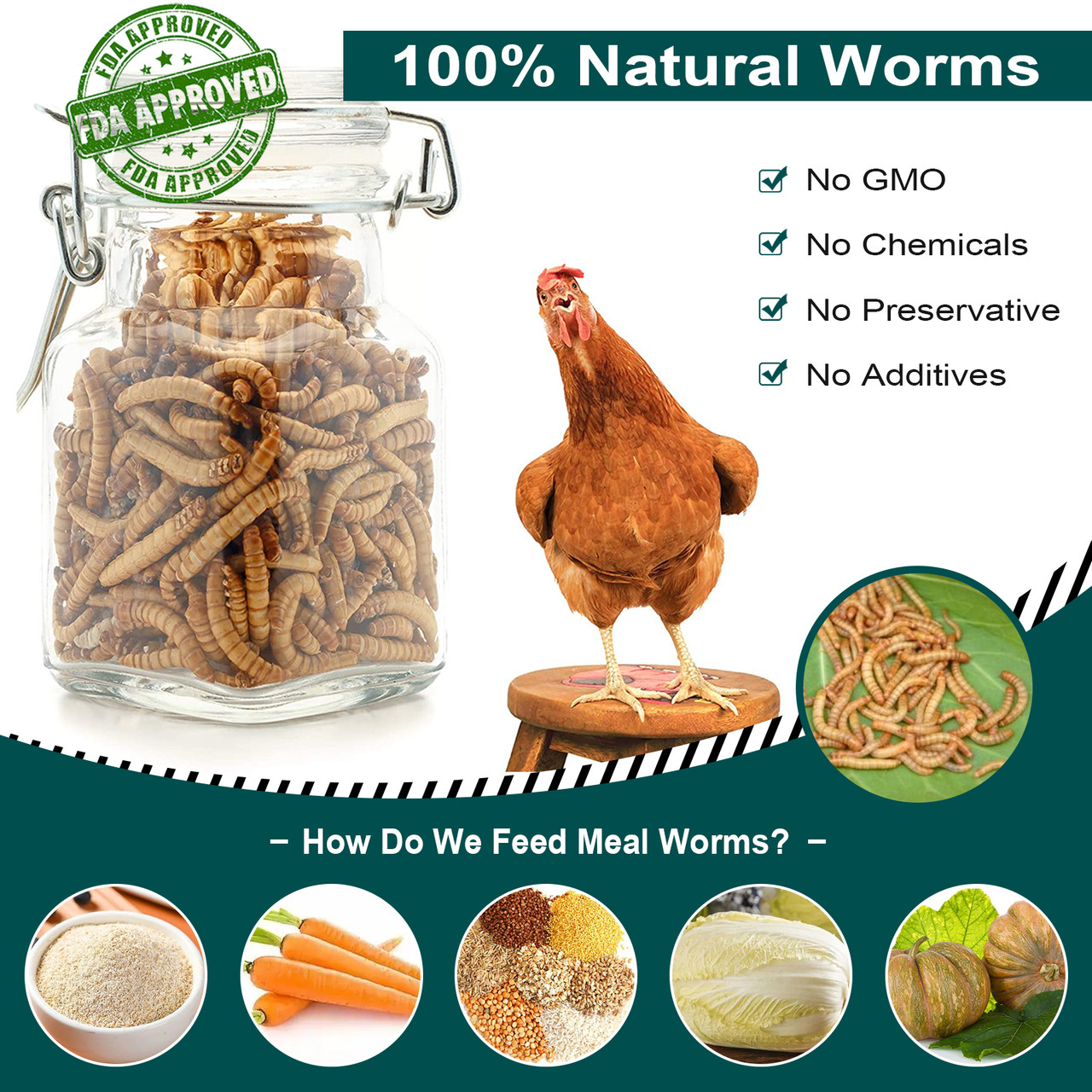 Euchirus 10 LB Non-GMO Dried Mealworms for Wild Bird Chicken Fish